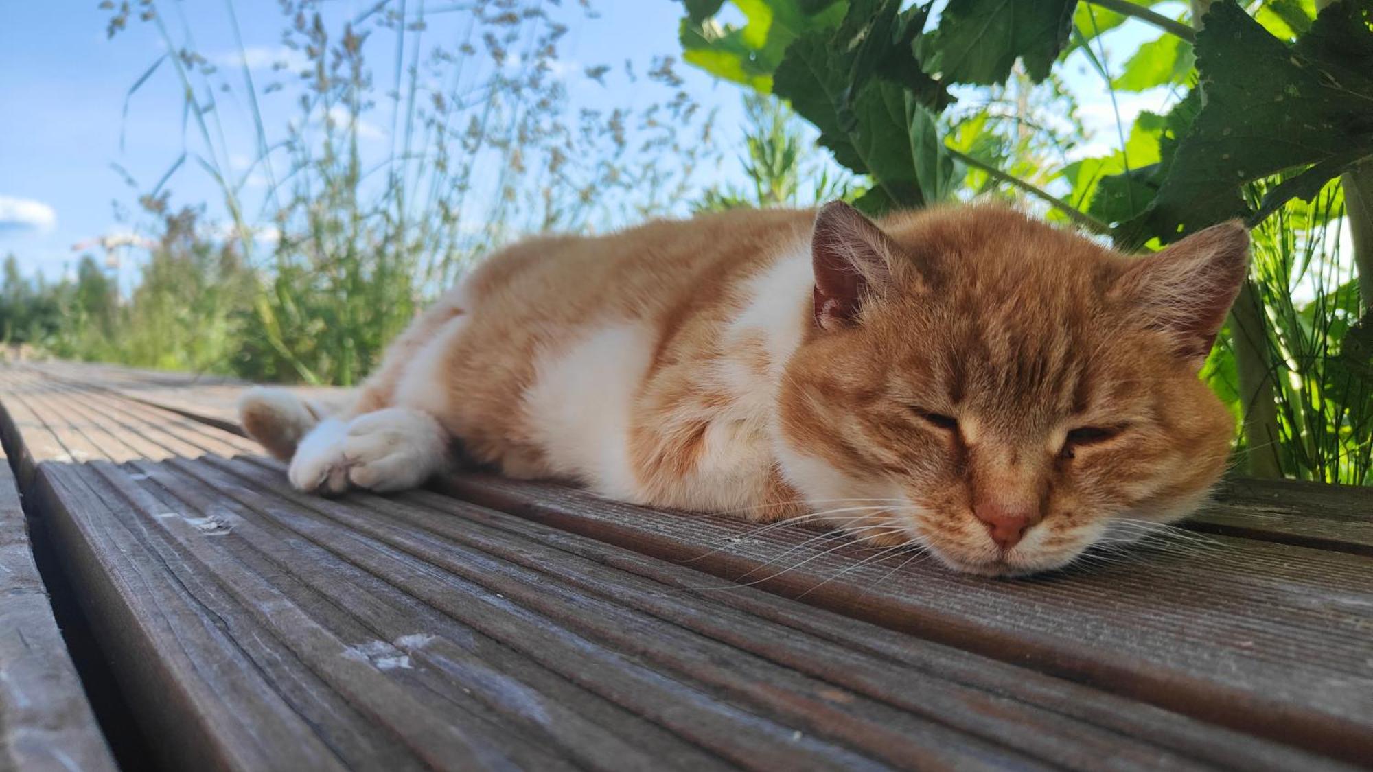 Mila Przystan Villa Ksiaznik Kültér fotó